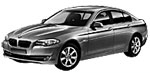 BMW F10 P363D Fault Code